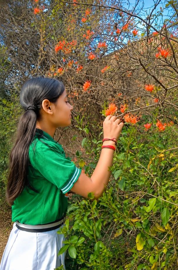 Eco Club Activities
